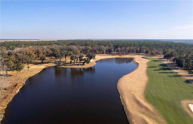 83 Eagle Crest Dr, Waverly, GA 31565