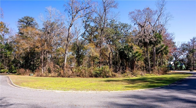 83 Eagle Crest Dr, Waverly, GA 31565
