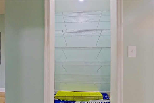 20 Marla St, Hoboken, GA 31542 - view of pantry