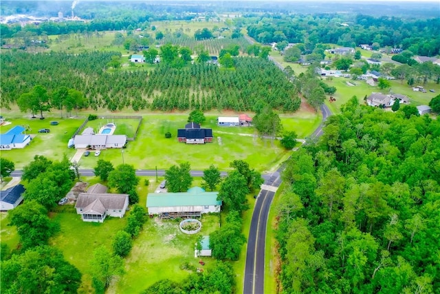 20 Marla St, Hoboken, GA 31542 - drone / aerial view