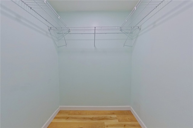 20 Marla St, Hoboken, GA 31542 - spacious closet featuring light wood finished floors