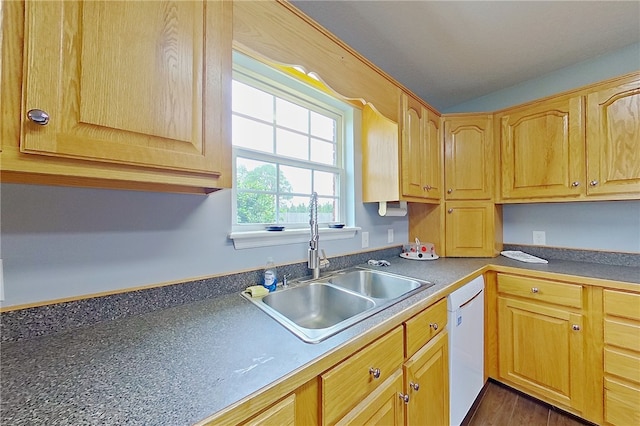 20 Marla St, Hoboken, GA 31542 - kitchen with white dishwasher, a sink, and dark wood-style flooring