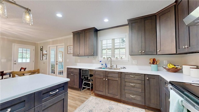 kitchen featuring french doors, light wood-type flooring, plenty of natural light, and sink