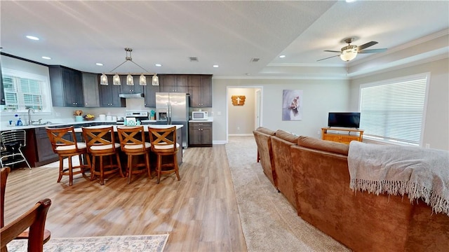 living room featuring ceiling fan, crown molding, a healthy amount of sunlight, and light hardwood / wood-style floors