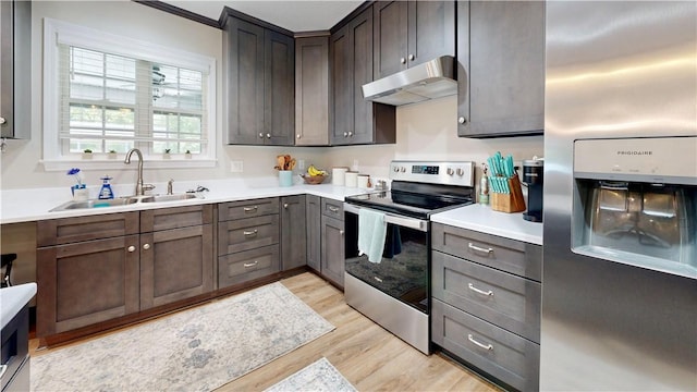 kitchen featuring sink, light wood-type flooring, dark brown cabinets, and appliances with stainless steel finishes