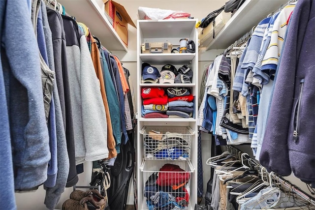 view of spacious closet