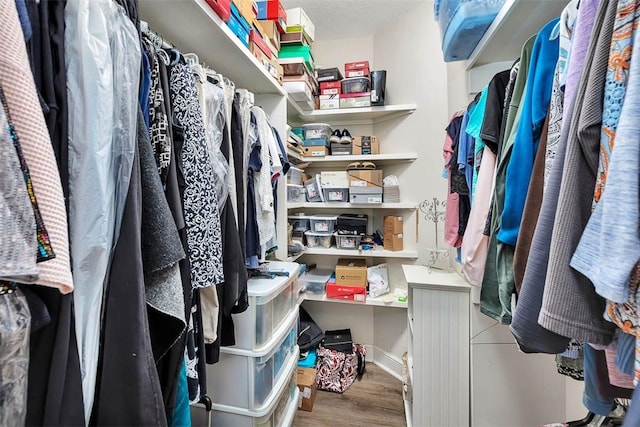 spacious closet featuring wood-type flooring