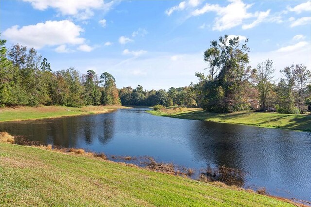 22 Millpond Cir, Brunswick, GA 31525 - view of water feature with a forest view