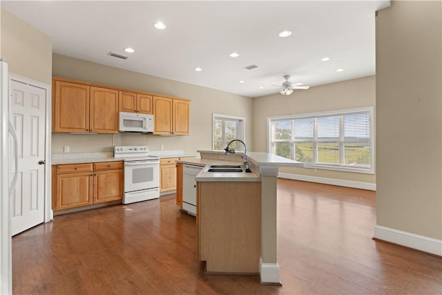 kitchen featuring white appliances, a center island with sink, sink, ceiling fan, and dark hardwood / wood-style flooring