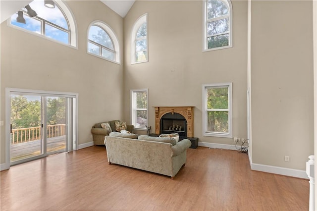 living room with light hardwood / wood-style flooring and a high ceiling