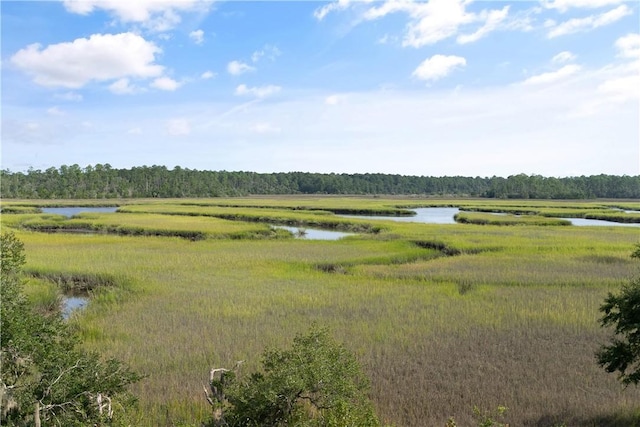 view of landscape with a water view