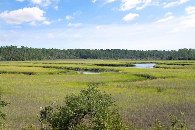 view of landscape with a rural view and a water view