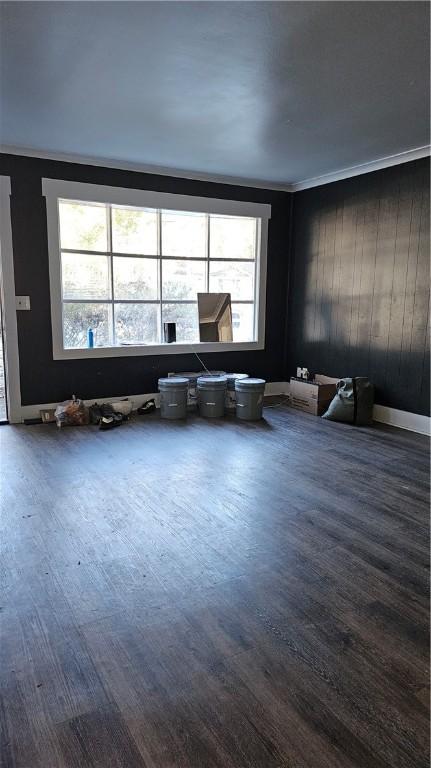 miscellaneous room featuring crown molding and wood-type flooring