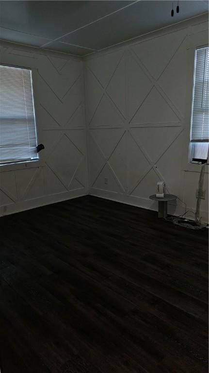 empty room featuring wood-type flooring and a healthy amount of sunlight