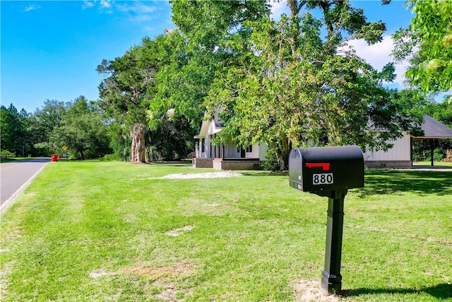 880 Miles Still Rd, Waycross, GA 31503 - view of green lawn
