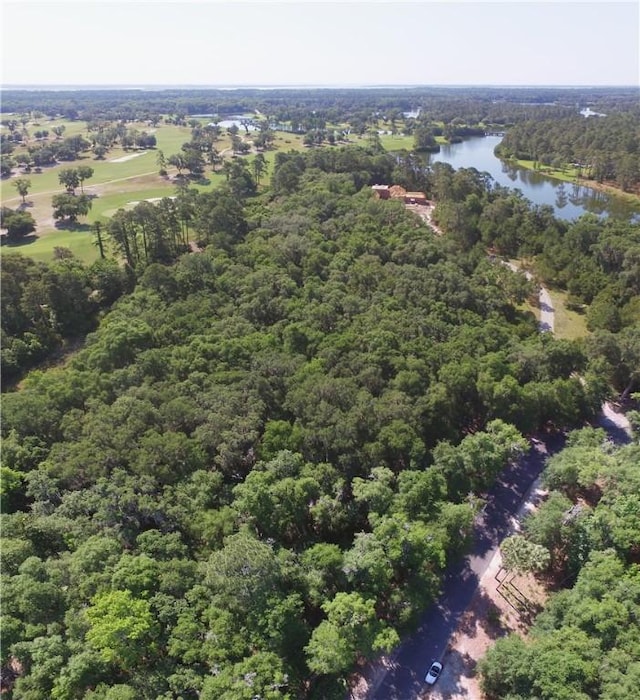 24 Hinchinbrooke Cir, Saint Simons Island, GA 31522 - photo 6