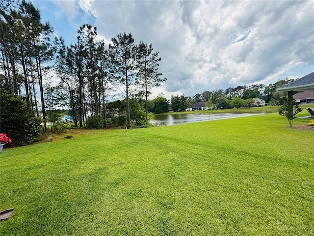 156 Allie Loop, Brunswick, GA 31525 - view of green lawn with a water view