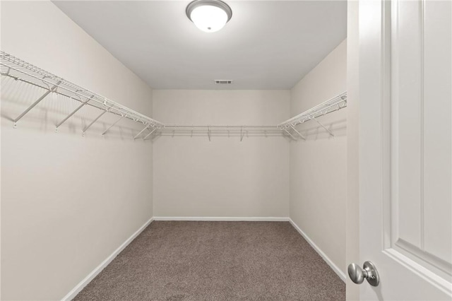 107 Heatherly Way, Brunswick, GA 31523 - walk in closet with carpet floors