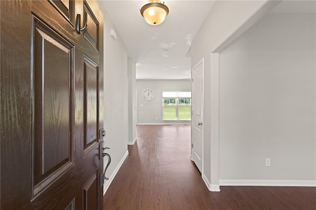 107 Heatherly Way, Brunswick, GA 31523 - foyer featuring dark wood-style flooring and baseboards