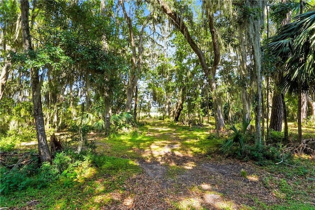 186 N Hampton Point Dr, Saint Simons Island, GA 31522 - photo 1