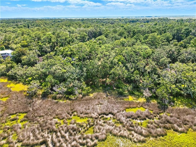 186 N Hampton Point Dr, Saint Simons Island, GA 31522 - photo 7