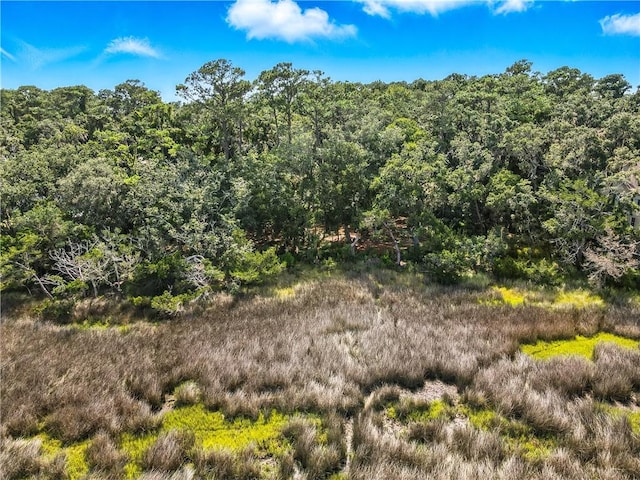 186 N Hampton Point Dr, Saint Simons Island, GA 31522 - photo 18