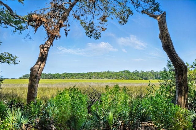 186 N Hampton Point Dr, Saint Simons Island, GA 31522 - photo 2