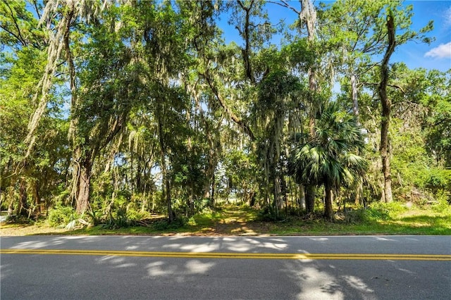 186 N Hampton Point Dr, Saint Simons Island, GA 31522 - photo 11