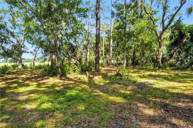 186 N Hampton Point Dr, Saint Simons Island, GA 31522 - photo 13