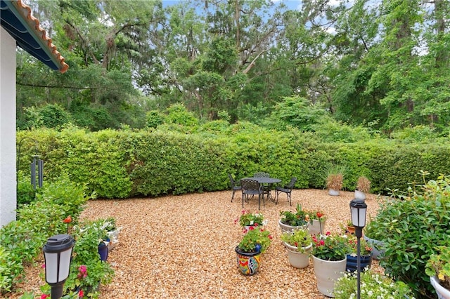 view of yard featuring outdoor dining space