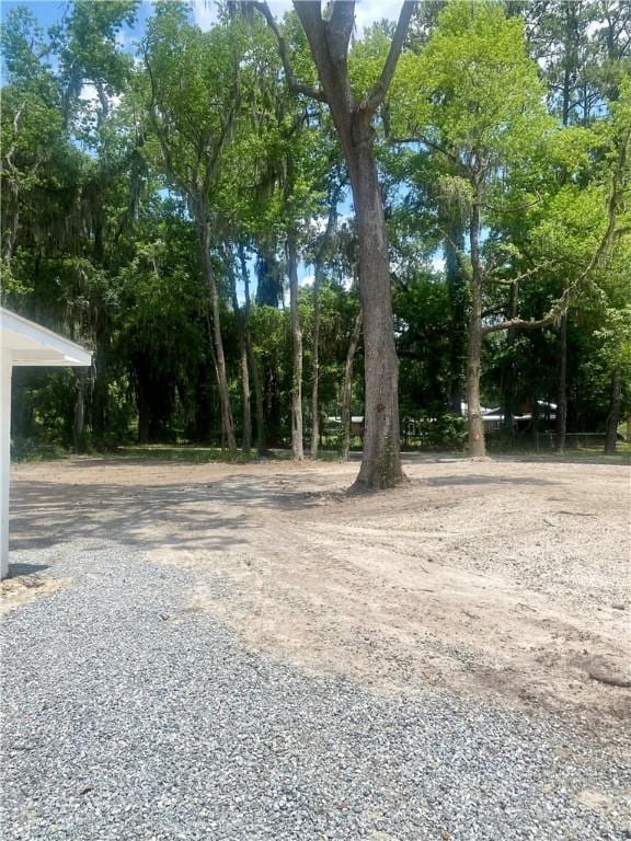 4726 New Jesup Hwy, Brunswick, GA 31520 - view of yard with driveway