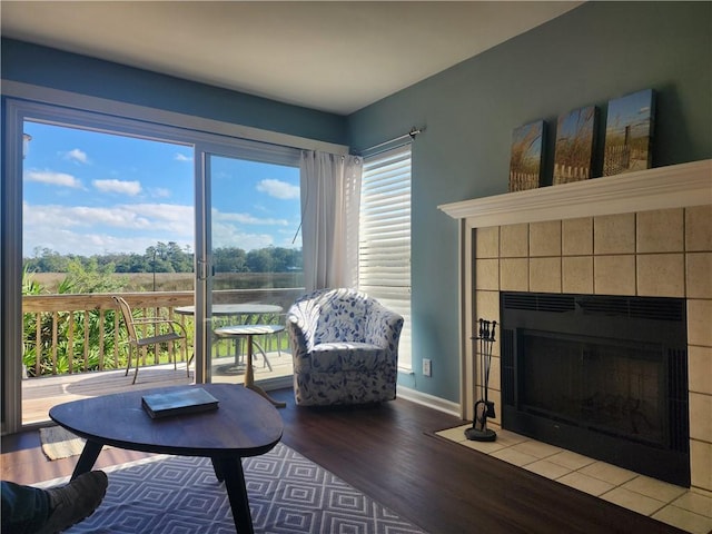 living room featuring a fireplace and wood-type flooring