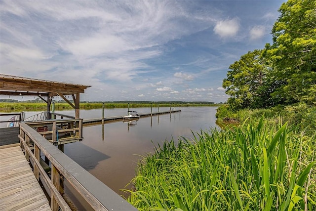 110 Cathead Ln, Darien, GA 31305 - photo 44