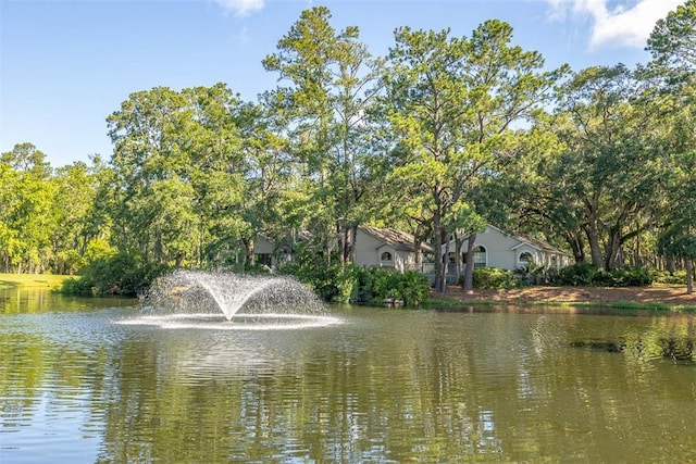 40 W Lake Dr, Saint Simons Island, GA 31522 - water view
