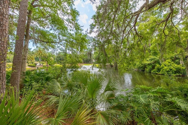 40 W Lake Dr, Saint Simons Island, GA 31522 - water view