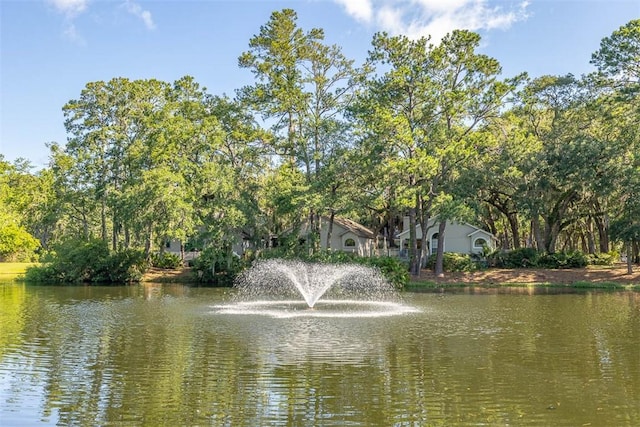 40 W Lake Dr, Saint Simons Island, GA 31522 - water view