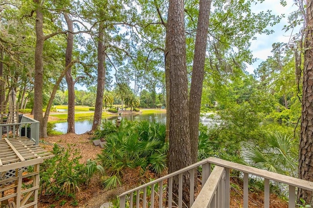 40 W Lake Dr, Saint Simons Island, GA 31522 - water view featuring a tree filled landscape