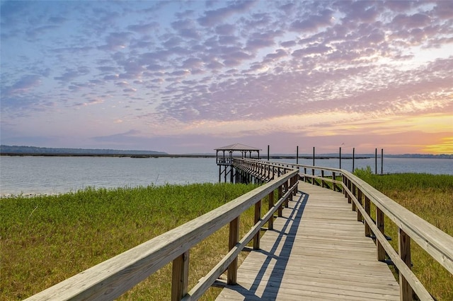 dock area with a water view