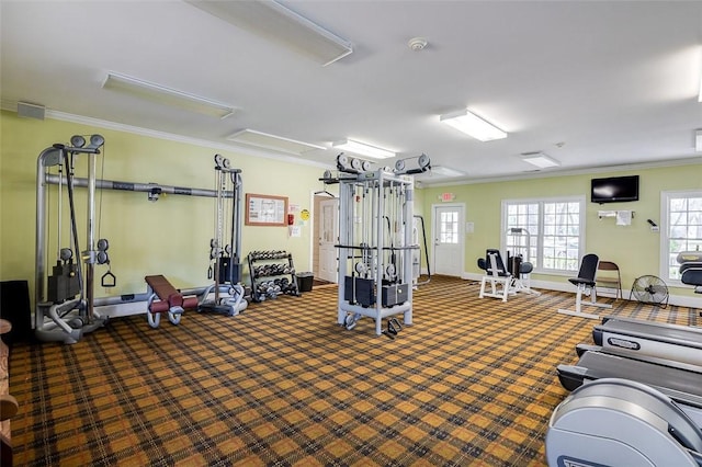 workout area featuring crown molding and carpet floors