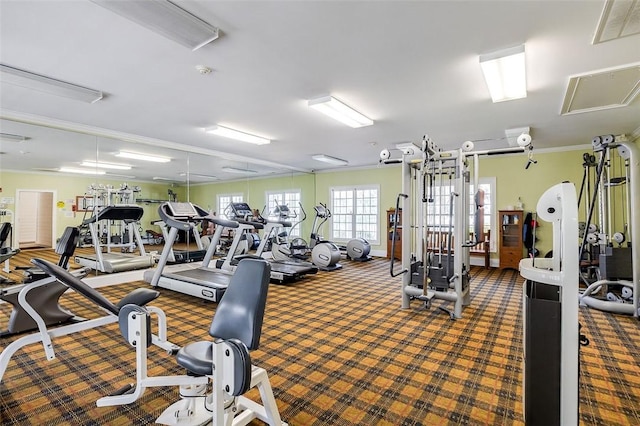 exercise room with ornamental molding and carpet