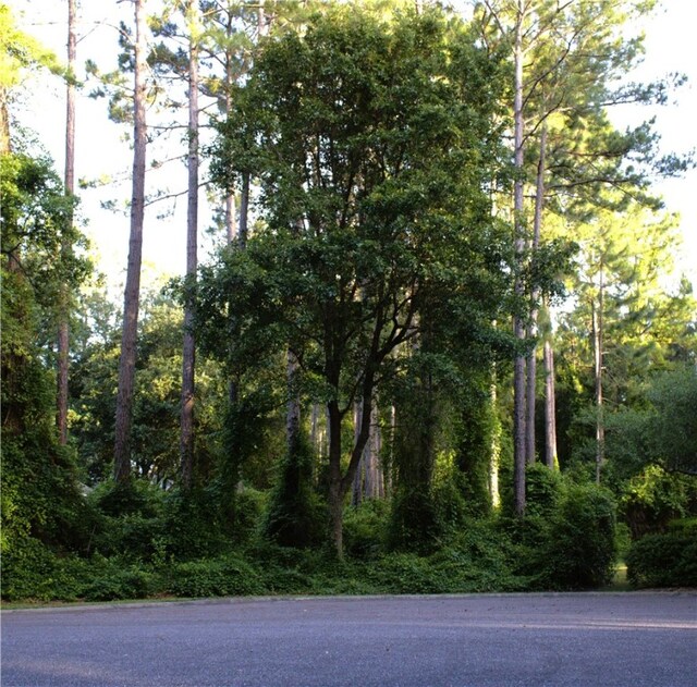 105 Burgee Pl, Saint Marys, GA 31558
