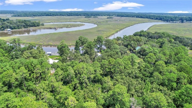 bird's eye view featuring a water view and a wooded view