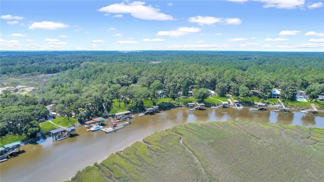 bird's eye view with a view of trees and a water view