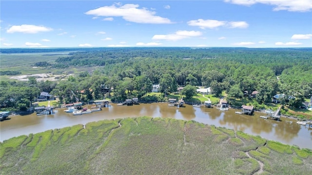 bird's eye view featuring a wooded view and a water view