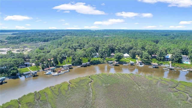 bird's eye view with a wooded view and a water view