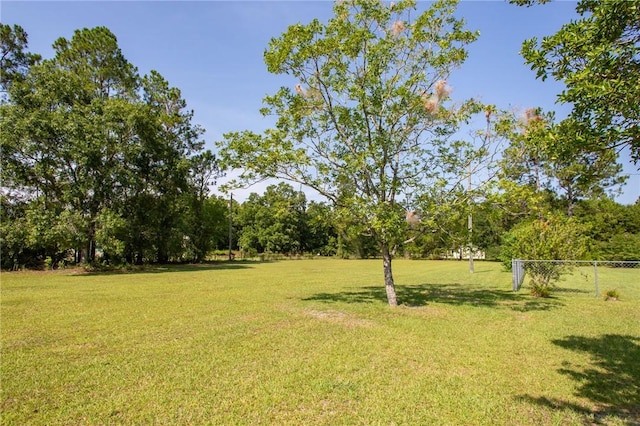 6499 Bailey Rd, Blackshear, GA 31516 - photo 5