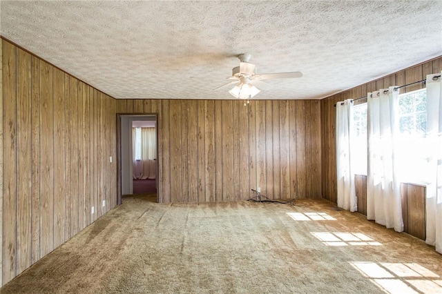 6499 Bailey Rd, Blackshear, GA 31516 - photo 13