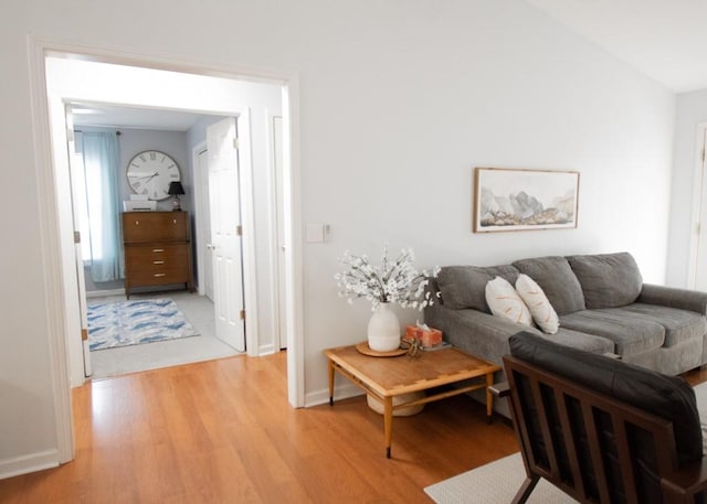 living room with light wood-type flooring