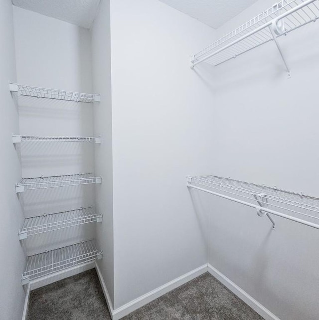 walk in closet featuring dark colored carpet