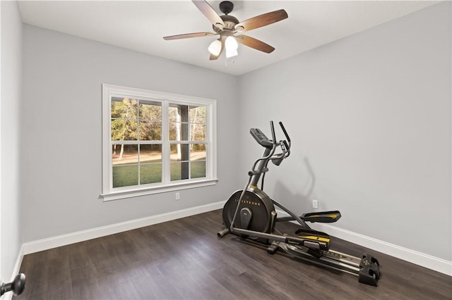 exercise room with ceiling fan and dark wood-type flooring